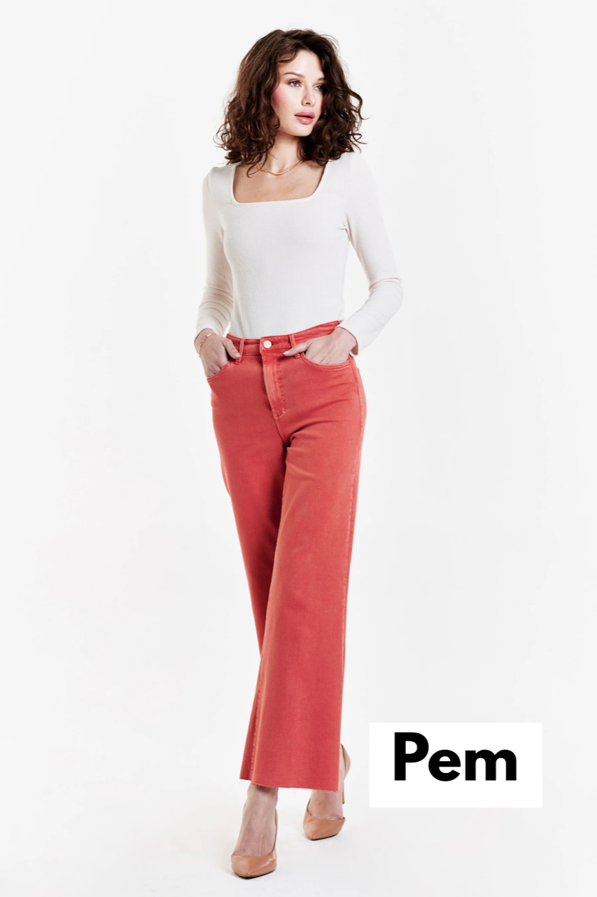 Dear John Fiona High Rise Wide Leg Jean in 2 colors